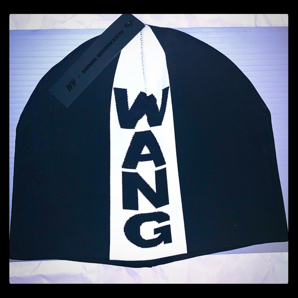 Alexander Wang Other - NWT Alexander Wang H&M Beanie Skull Cap